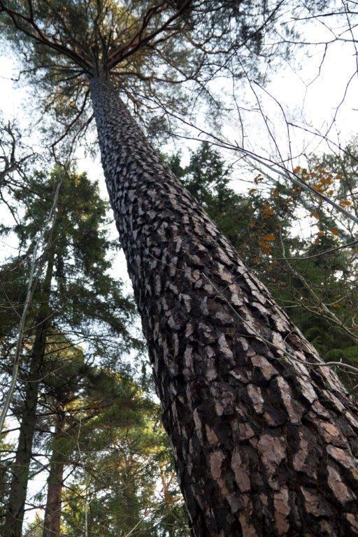 fjärde största storstad- och Sveriges