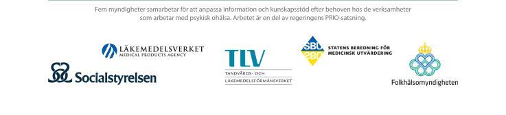 kunskap Resultat Statistik