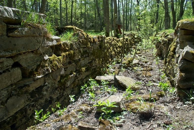 Natur- och kulturmiljö Vid Silverfallet i Karlsforsbäcken kastar sig bäcken på våren