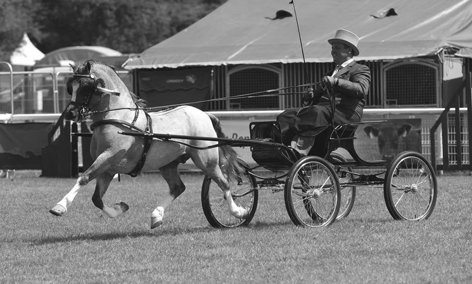Richard Miller på Royal Welsh Show.