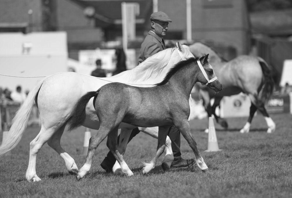 A Flydon Llwy Pwdin Foto: Gail Thomson Höger: Gunilla Olesjö och hennes gäng på