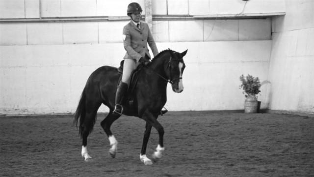 Carina Winkler, Vävra 720, 442 95 Hålta Ryttare Sara Winkler Klass 35 Novice Welsh Partbred Small HENDRAWS GWEN 87-06-1233 Svartskäck, sto född 2006 hos Ms. A.P. Davies, Dyfed, U.K. f. Rosevean Silver Samon Spray m.