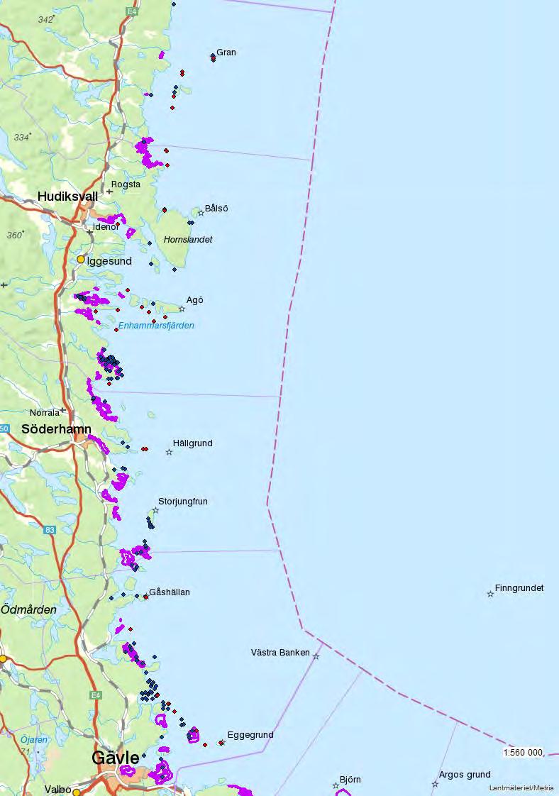 Fig. X. Preliminära värdekärnor i Gävleborgs läns havsmiljö. Värdekärnor med hög täckningsgrad av bottenvegetation som enligt Mosaic => 21 poäng, markeras med blå punkter.