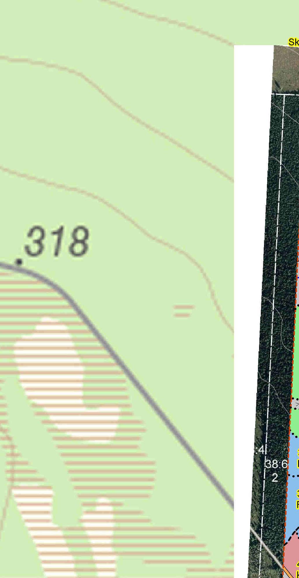 SKOGSKARTA Plan Skattungbyn 84:1