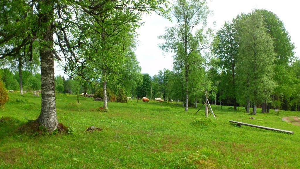 odlingsmarkerna som exempelvis skedde på naturreservatet Skattlösberg där både höga kultur- och naturvärden finns.