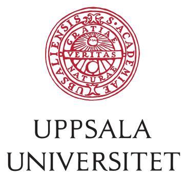 Institutionen för folkhälso- och vårdvetenskap När hjärtat stannar, en andra chans Patienter och närståendes upplevelse av hjärtstopp En litteraturstudie