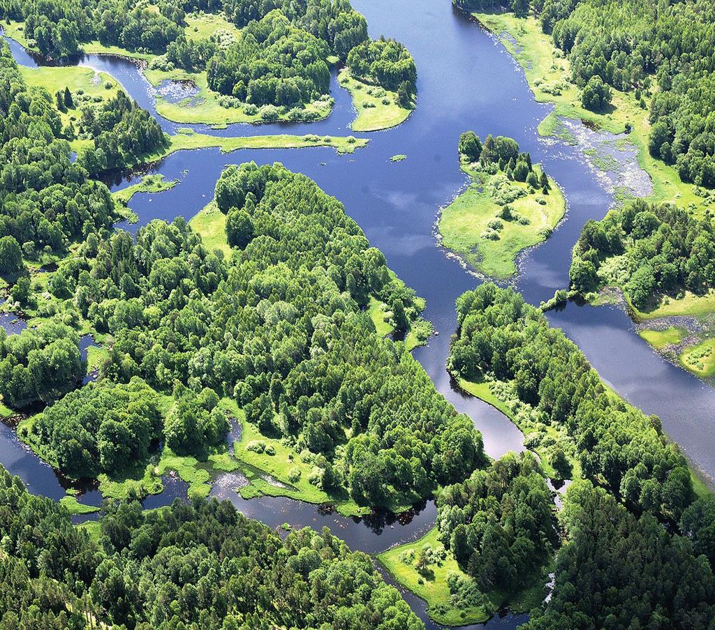 Rapport: 2018-05 Dalälvens naturvärden Påverkan från