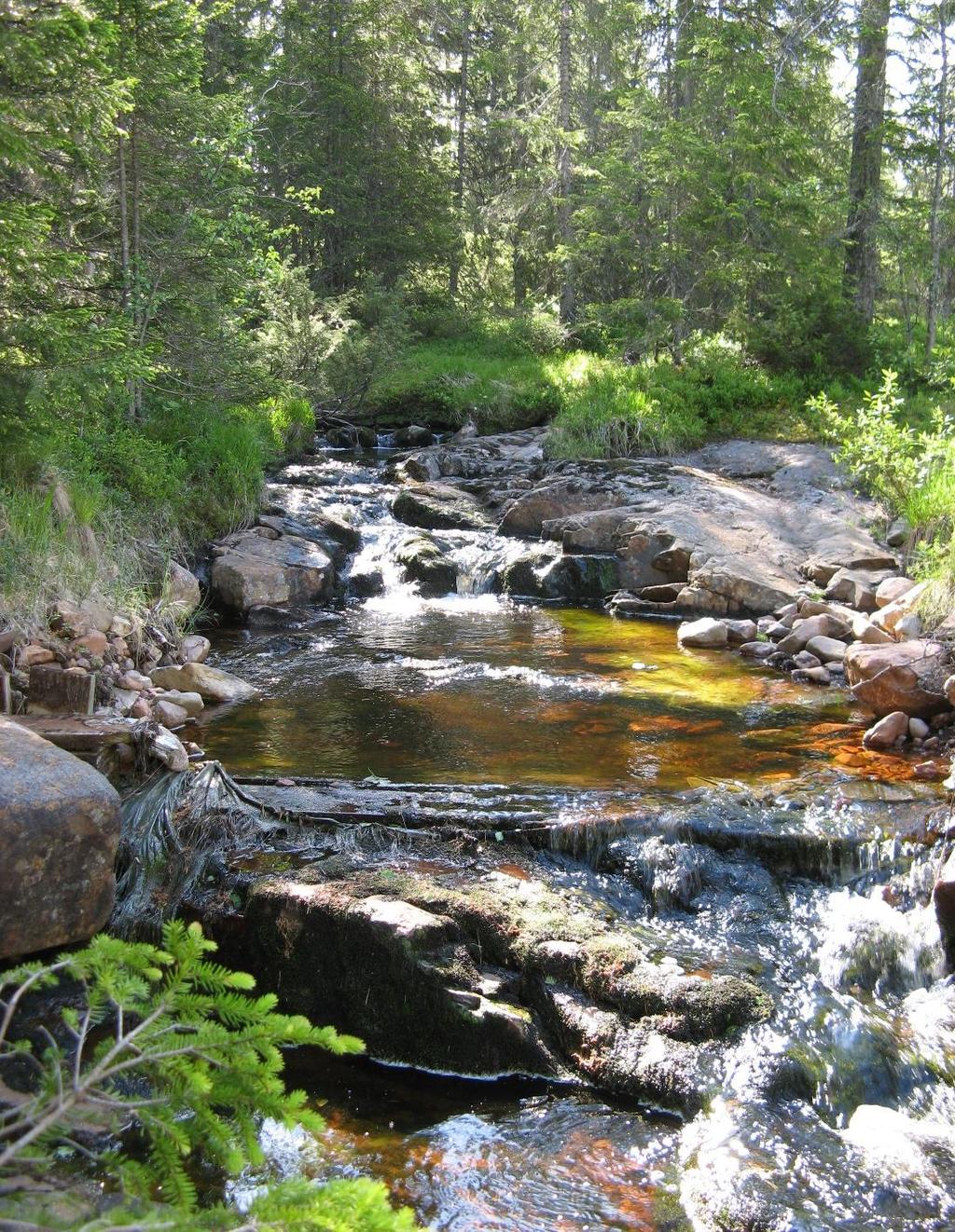 Analys av nyttan med åtgärder Området är identifierat som riksintresse för naturvården och Unnån som särskilt värdefullt vatten, bl. a. för sitt vandrande öringbestånd, den riksklassade Hansjööringen.