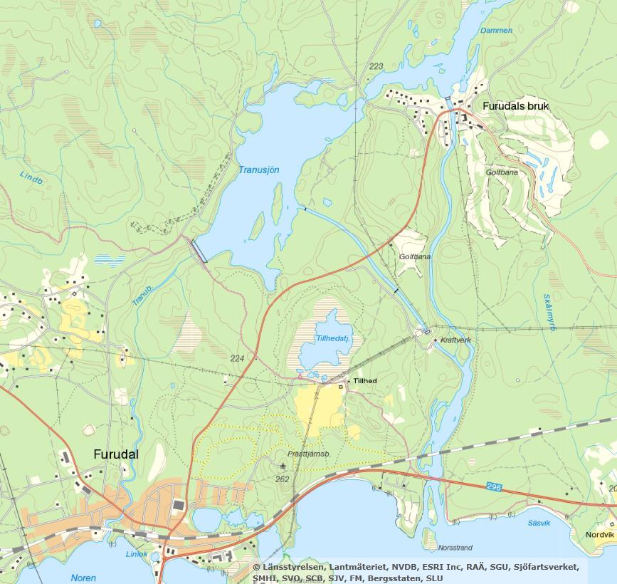 Hansjööringen mycket nära släkt med den lokala öringen som vandrar mellan Skattungen/Oresjön och deras mindre tillflöden. Figur 46.