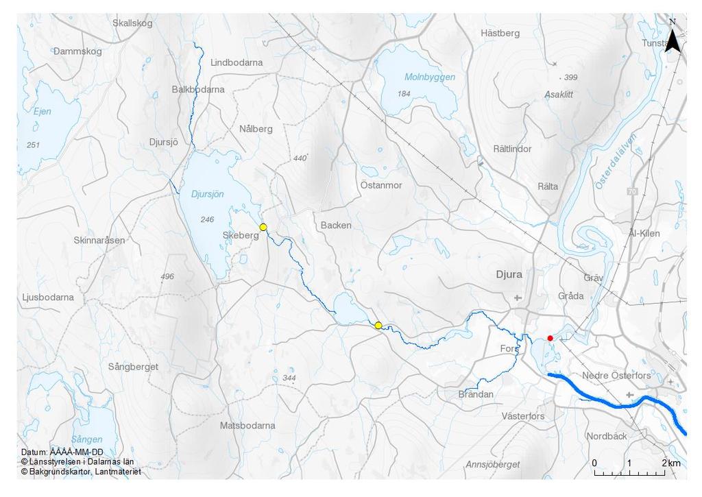 öring, att vandra upp från Djurån och hindrar därför även indirekt naturlig återetablering av flodpärlmussla från populationerna nedströms Gyllingen.