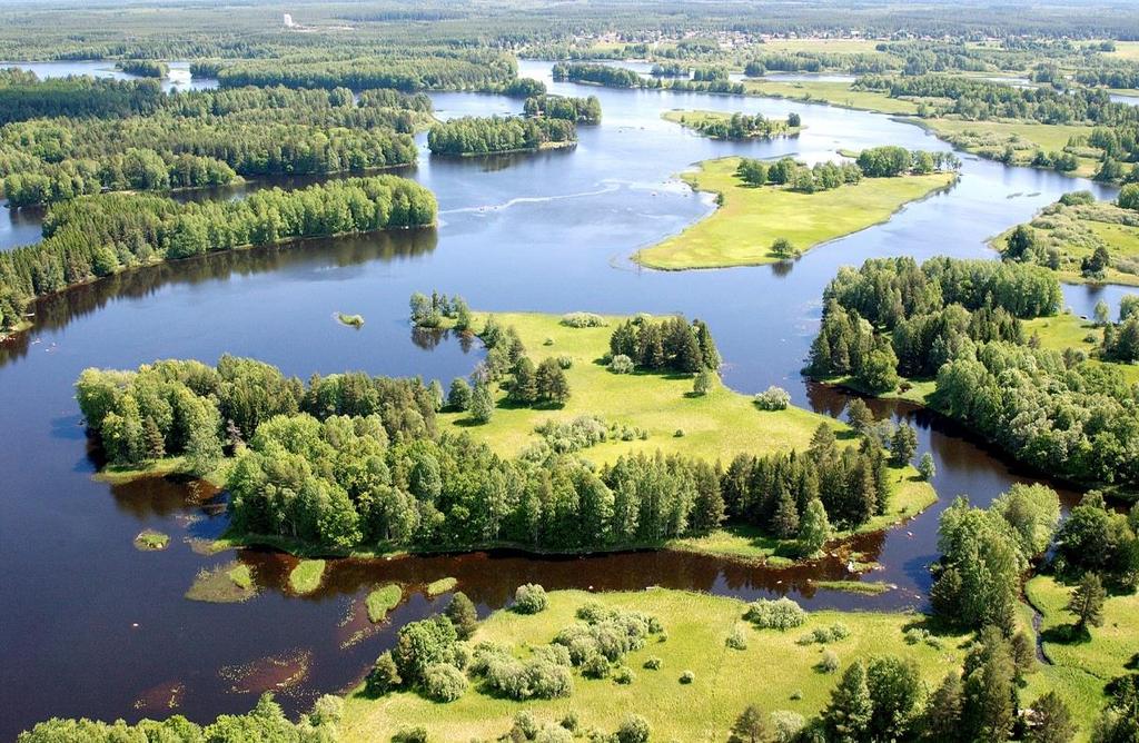 är kända från reservatet utgör skalbaggarna drygt hälften 61. Området skyddas till stora delar inom Båtfors och Spjutholmens naturreservat och Natura 2000-områden.