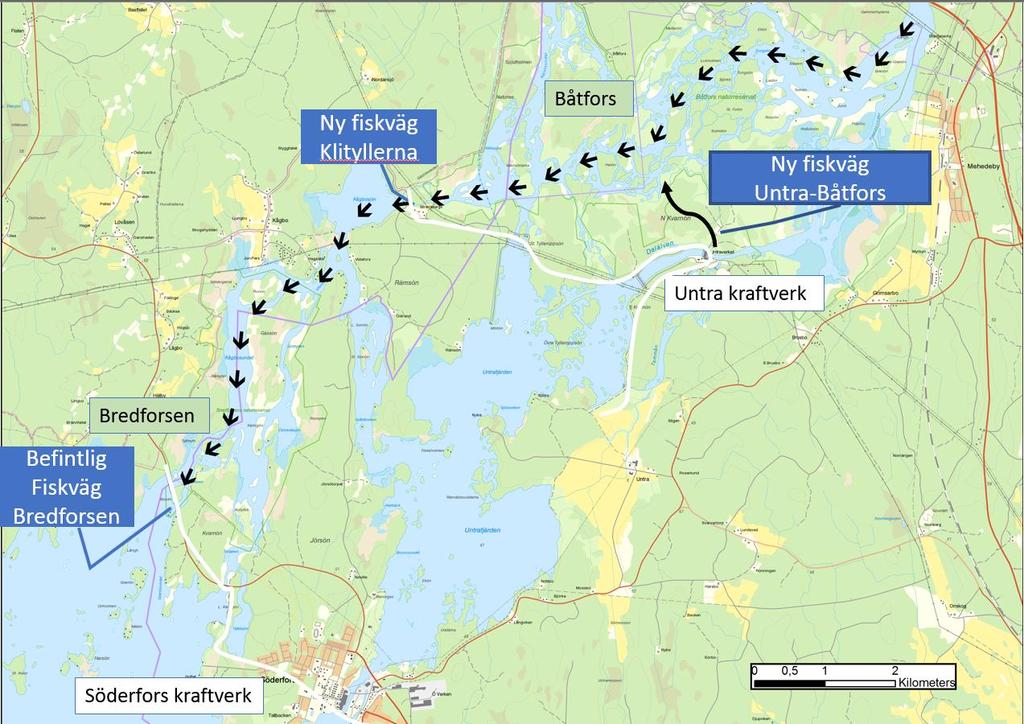 vidare på båda dessa utredningar och föreslår tappning 80 m 3 /s sommar och 40 m 3 /s vinter i kombination med biotopvård. Detta skulle ge 16 ha reproduktionsområde lämpligt för lax och öring 73.