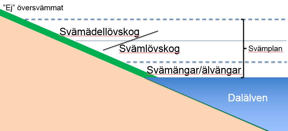 Känsliga naturtyper i Dalälven och deras behov Vattenkraften förändrar förutsättningarna för ett flertal arter och naturtyper.