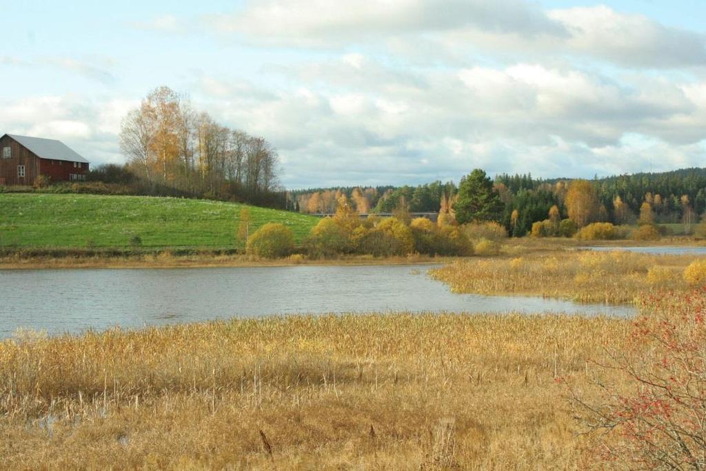 kan exempelvis vara att en provtappning genomförs för att på plats mäta hur vattnet breder ut sig, alternativt ta fram en mer detaljerad flödesmodell.