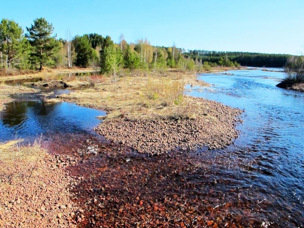 Alderängarna är både Natura 2000-område 21 och naturreservat 22 och är av nationell och internationell betydelse som ett exempel på inlandsdelta. Figur 14. Klapperstenstränder vid Alderängarna.