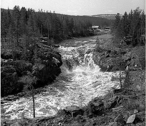 Uppströms kraftverken Hansjö och Unnån finns stora arealer potentiella lekoch uppväxtområden i biflödena Unnån och Ämån.