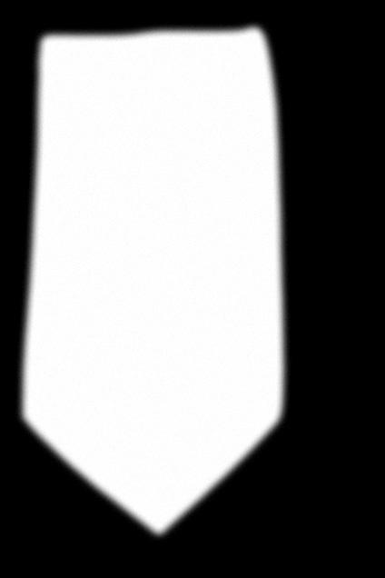 3010 ACCESSORIES -27-55 -64-85 -87-99 HANKIE / TIE TIE/SLIPS SIDEN