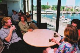 Den traditionella skiljekaraktären mellan kärrsilja Peucedanum palustre och krusfrö Selinum carvifolia att den förra skall ha violetta spetsar på bladflikarna och den senare vita spetsar är inte