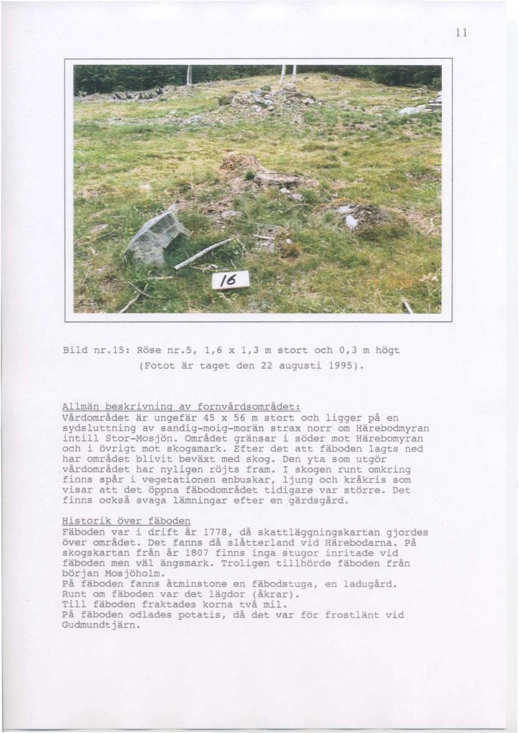 11 Bild nr.is: Röse nr.s, 1,6 x 1,3 m stort och 0,3 ro (Fotot är taget den 22 augusti 1995).