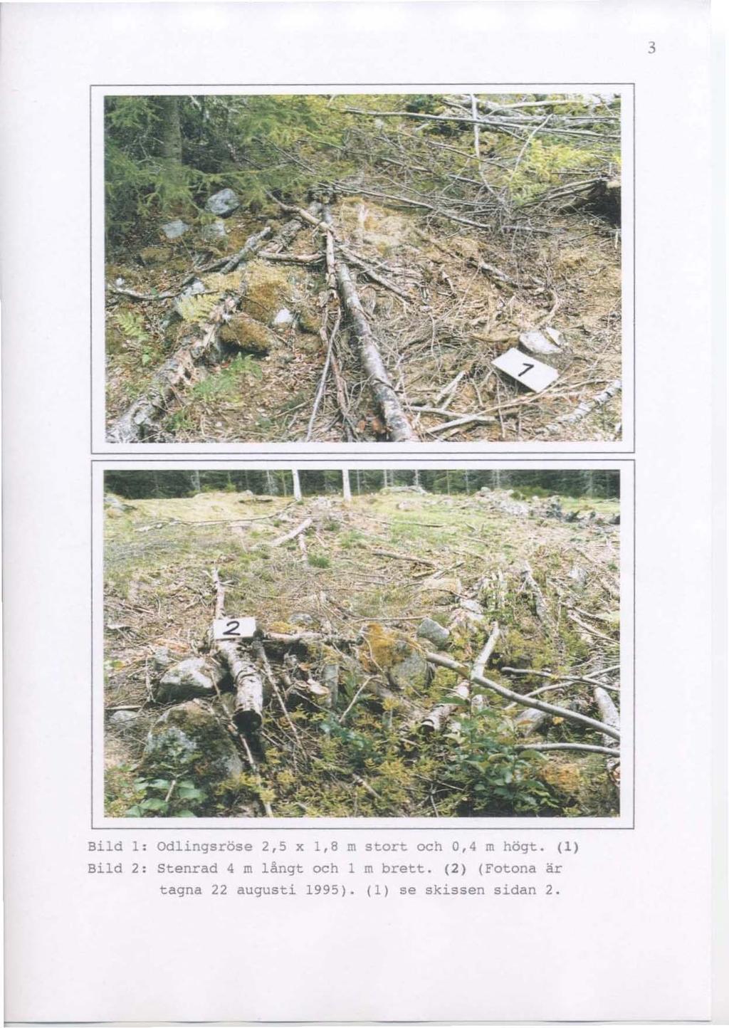 3 Bild Bild l: 2 : Odlingsröse 2,5 x 1,8 ro Stenrad 4 ro långt och l tagna 22