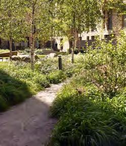 Uteplatser mot gården avgränsas med planteringszoner för buskar och perenner, på gårdens mitt finns utrymme för större öppna grönytor med trädplantering.