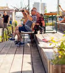 om komplement till odlingen och för att öka pollineringen till växter generellt i hela området skulle även ett så