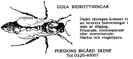 Vi startade upp 42 avläggare under sommaren 2010.