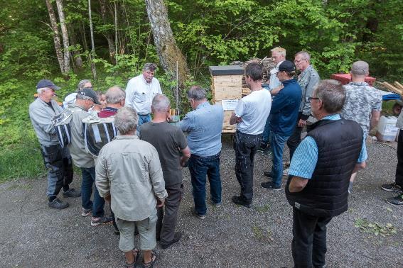 Så här ser planen ut för aktiviteter 2018 Utbildningskvällar under vintern Vårträff på Sundby, datum meddelas senare