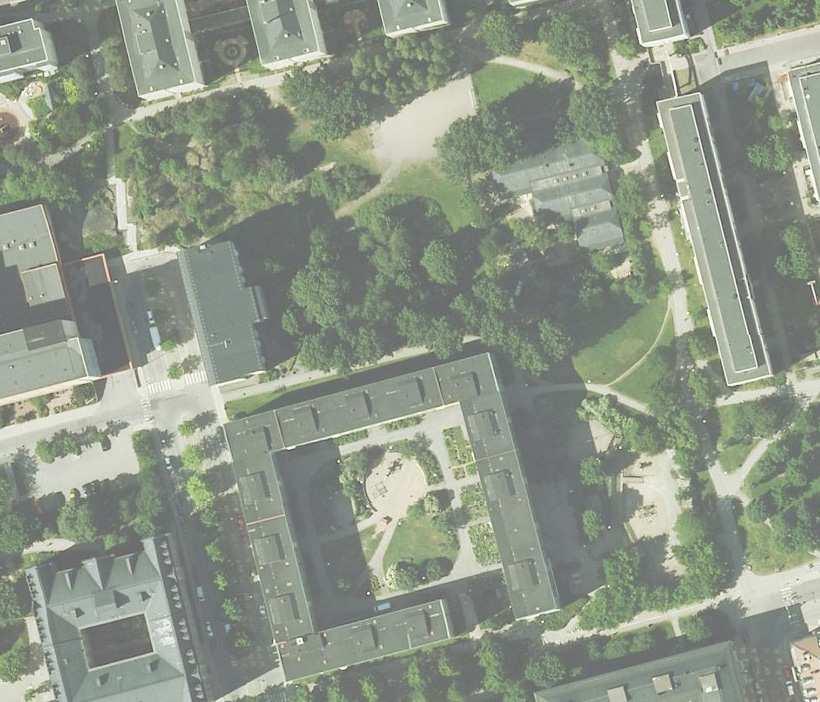 Rosenlundsparken Träden Inom exploateringsområdet inns ca 80-00 träd i form av lerskiktad ungskog med Ask, Lönn, Alm och Fågelbär med utvecklade kronor. Dessutom inns ca 0 höga popplar.