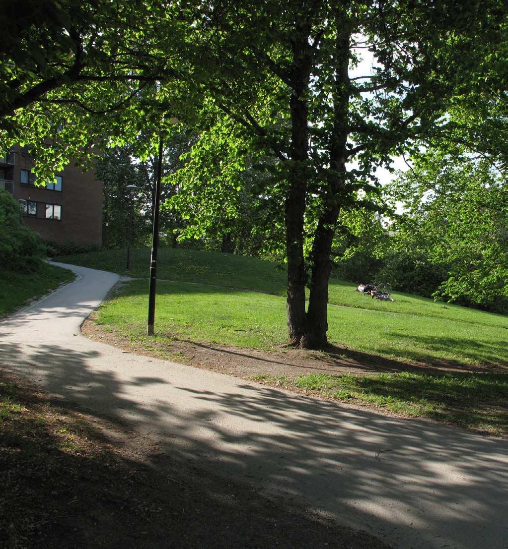 BAKGRUND Stadsbyggnadskontoret och Exploateringskontoret utreder förutsättningar för exploatering i den norra delen av Rosenlundsparken.