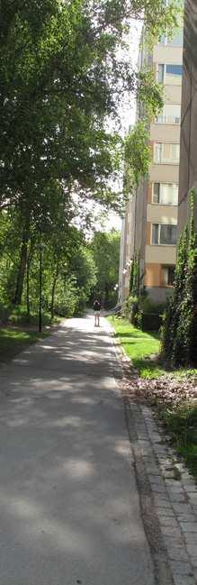 Många barn rör sig i parken då det inns lera förskolor och skolor i parken och i närheten.