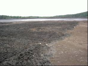 Figur 6. Täckskikt av rötslam (25 eller 50 cm tjockt) på ett tätskikt av bioflygaska vid Gillervattnet, 2005. Figure 6.