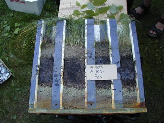 Figur 11. Experimentuppsättning för rotpenetrationstudien. Figure 11. Experimental set ups for the root-penetration experiment. 2.