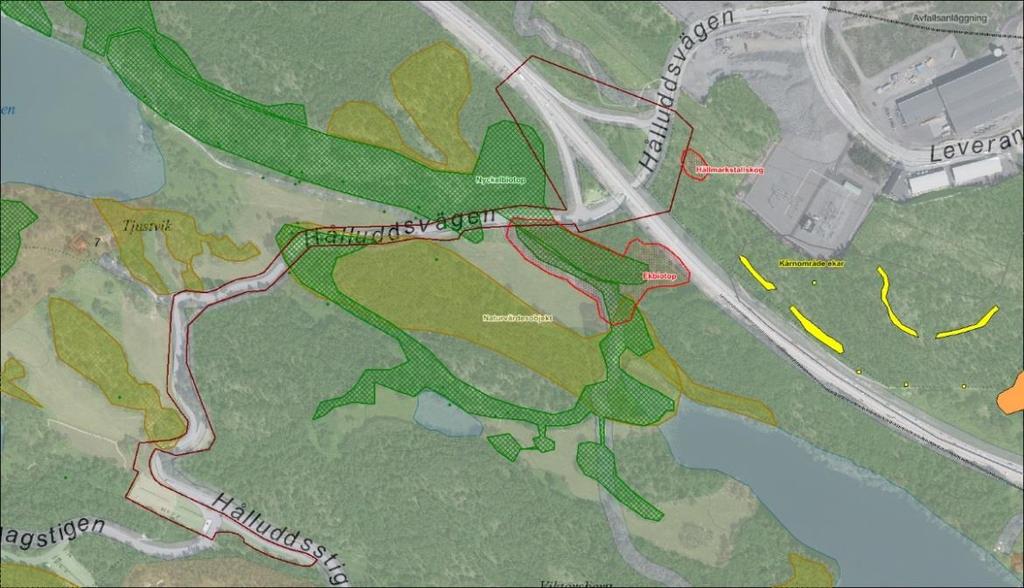 Sida 10 (36) Gustavsbergs grönstrukturplan visar att naturvärdena är främst knutna till äldre grova ekar med efterträdare.