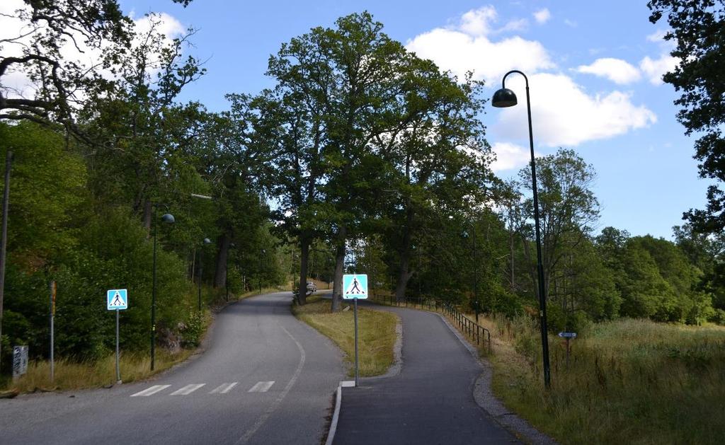 Sida 23 (36) Figur 20: Hålluddsvägen vid nyckelbiotopen. Hålluddsvägens bredd är reglerad till 6,0 meter i gällande detaljplan.