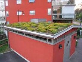 Växtlighet på tak kan fördröja/förhindra snabb