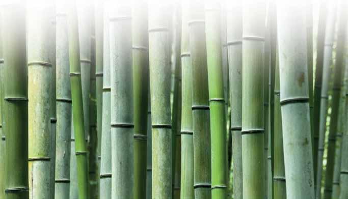 Moppar Activa Bamboo Naturligt antibakteriell Motverkar svampbildning Torr-/fukt- och våtmopp för normalt smutsade ytor.
