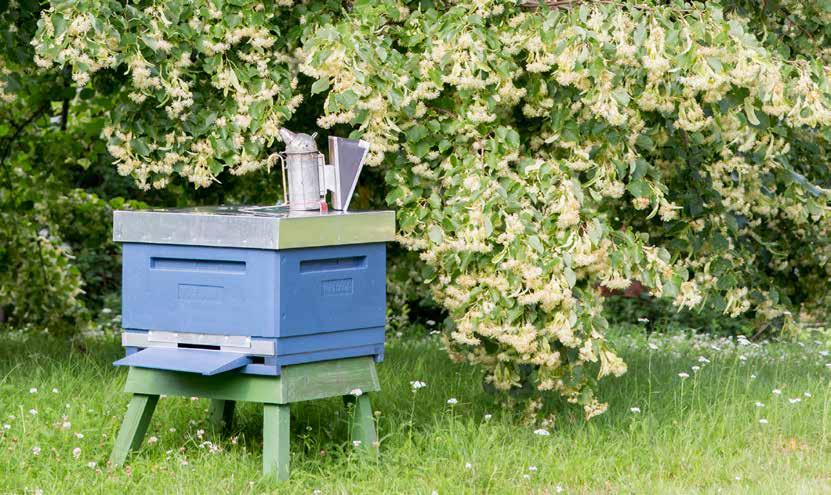 www.biredskapsfabriken.se 3 Stor som liten 20% RABATT STARTPAKET FÖR NYBÖRJARE Kuppaket innehåll: Kupa med 4 lådor inkl.