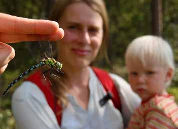 Sommarlägret blev en succé! Årets sommarläger tog plats 4-2 juli utanför Bjärnum i norra Skåne. Vi bodde och utgick från Lillgården, alldeles intill sjön Bjärlången.