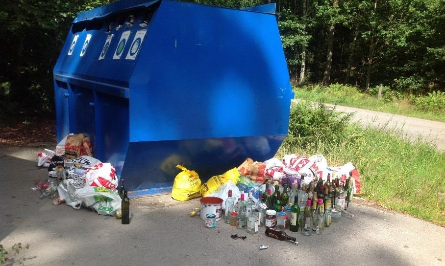 Figur 3. Nedskräpning vid landsbygdsstation. Varje år deltar olika verksamheter inom kommunerna i skräpplockarveckan som bl.a. anordnas i samarbete med organisationen Håll Sverige Rent.