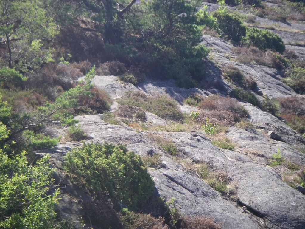 K:\2013\U13042_Kungbäck 1_38 m.
