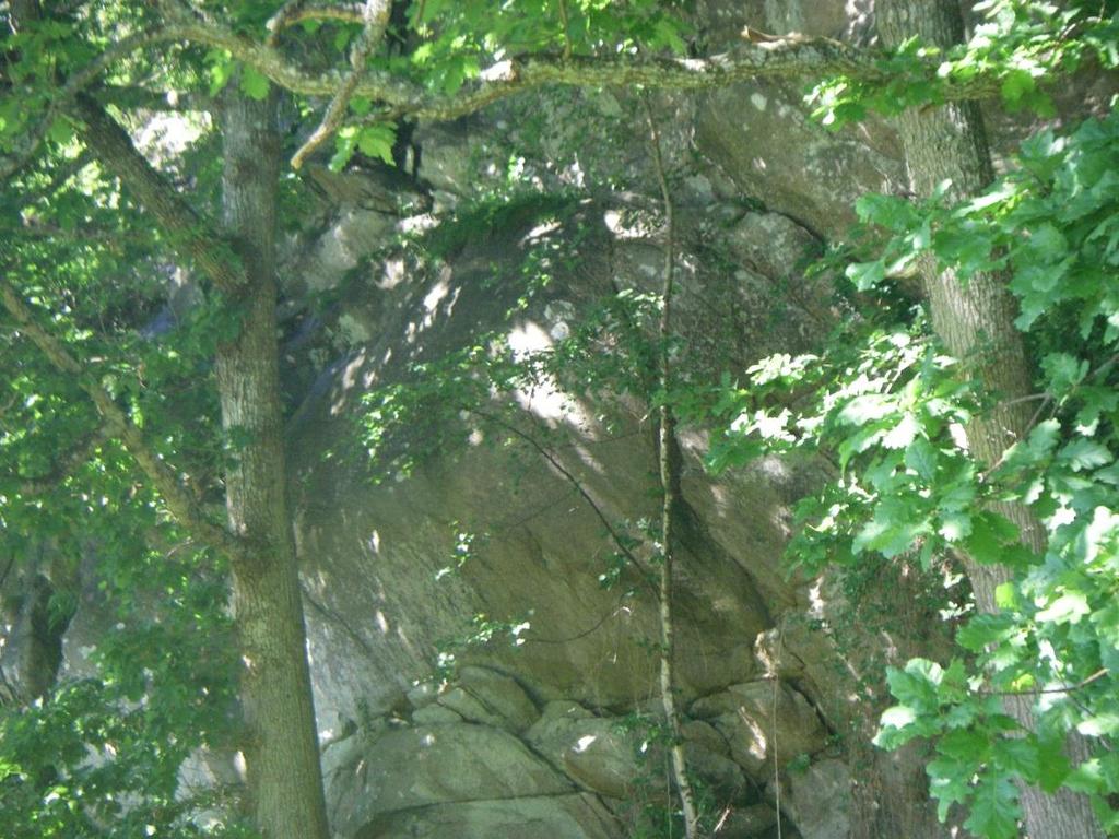 Strömstad kommun, Detaljplan DL; K:\2013\U13042_Kungbäck 1_38