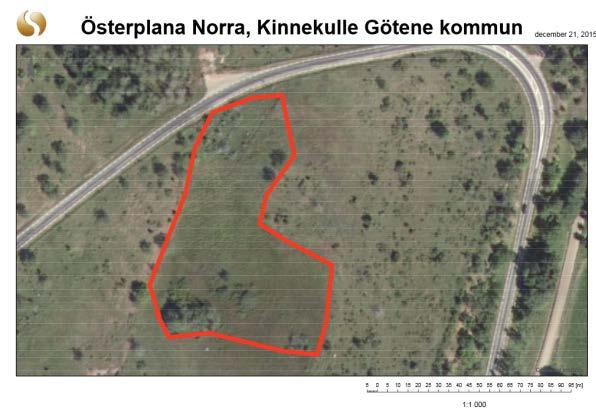 Figur 2 visar flygfoto över lokalen Österplana norra Lantmäteriet Götene GK Österplana norra är ca 6 000 m 2 stort och avgränsas i norr mot ett buskage, i väster längs en kalkhäll och i söder vid ett