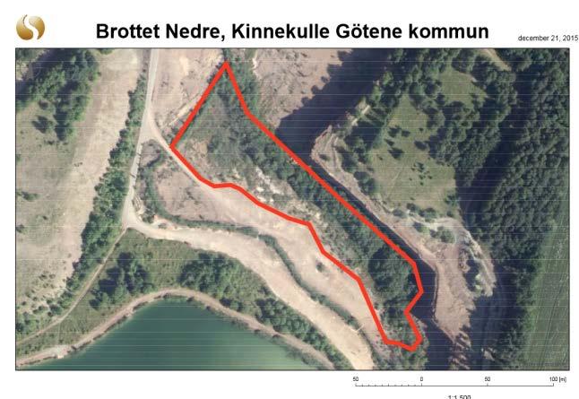 Brottet nedre är en rikkärrsmiljö på ca 11 000 m 2 som ligger på bottenplatån i Rustsäters stenbrott (Figur 4). Området översilas av kalkhaltigt vatten från närliggande stenlager och vattendrag.