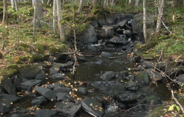 Skrivaremoån, Förgrening-fall Avrinningsområde Koordinat (RT90) Kommun Syfte Höjd över havet 67 Motala ström 640769-146255 Ydre Regional miljöövervakning 205 m Populationstyp Senast fiskad Lokallängd