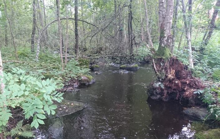 Skrivaremoån, Uppströms väg Avrinningsområde Koordinat (RT90) Kommun Syfte Höjd över havet 67 Motala ström 640754-146231 Ydre Regional miljöövervakning 214 m Populationstyp Senast fiskad Lokallängd