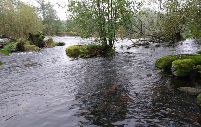 Svartån, Stenbordet tröskeln Avrinningsområde Koordinat (RT90) Kommun Syfte Höjd över havet 67 Motala ström 644960-145490 Boxholm Regional miljöövervakning 142 m Populationstyp Senast fiskad