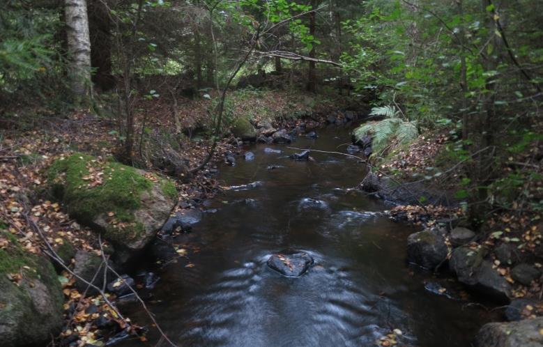 Tidersrumsbäcken, Upp Färmestorpsvägen Avrinningsområde Koordinat (RT90) Kommun Syfte Höjd över havet 67 Motala ström 642088-148244 Kinda Regional miljöövervakning 166 m Populationstyp Senast fiskad