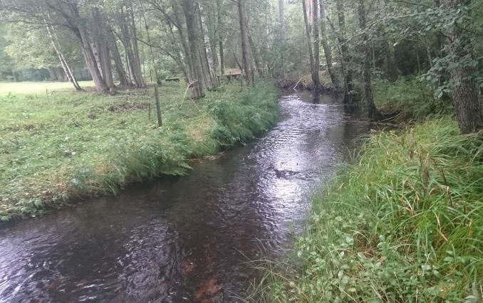 Bäck från Välen (Pinnarpsbäcken), Uppströms bro och vindskydd Avrinningsområde Koordinat (RT90) Kommun Syfte Höjd över havet 67 Motala ström 642941-148281 Kinda Uppfölj skyddade områden 109 m