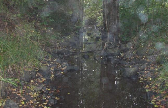 Fågelkullabäcken (Humlebäcken), Haraldsbo ned väg Avrinningsområde Koordinat (RT90) Kommun Syfte Höjd över havet 67 Motala ström 645629-148055 Linköping Regional miljöövervakning 107 m Populationstyp